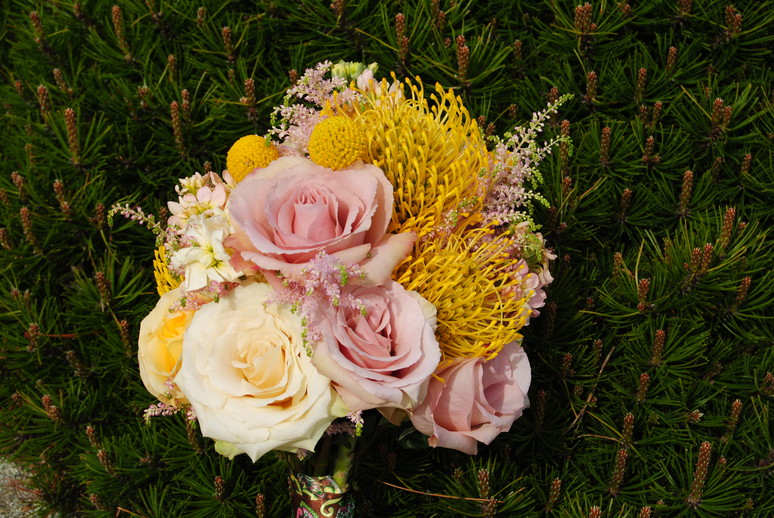 A soft bouquet of pink roses and pincushion protea